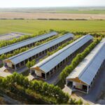 Poultry farms
