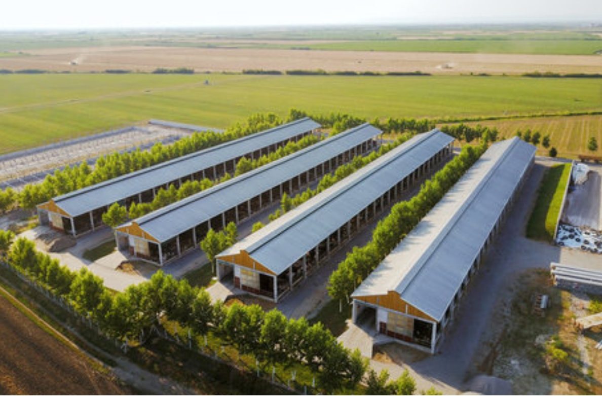 Poultry farms